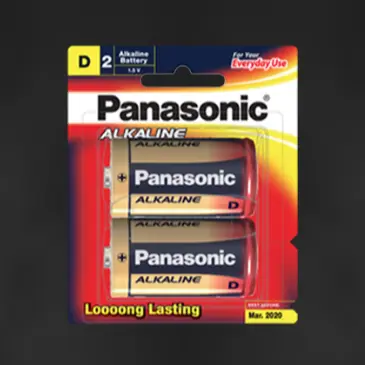 PANASONIC BATTERY D 1.5V LR20T/2B